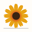Gonenativeva.com favicon