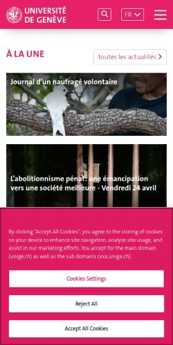 Screenshot of the audited page (Mobile 375×812)