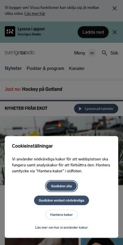 Screenshot of the audited page (Mobile 375×812)