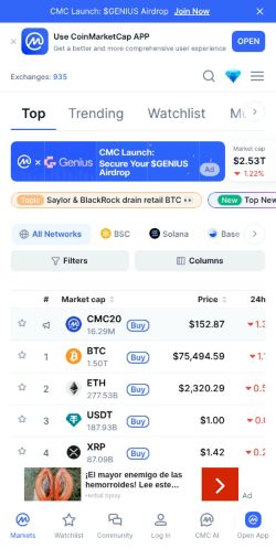 Screenshot of the audited page (Mobile 375×812)