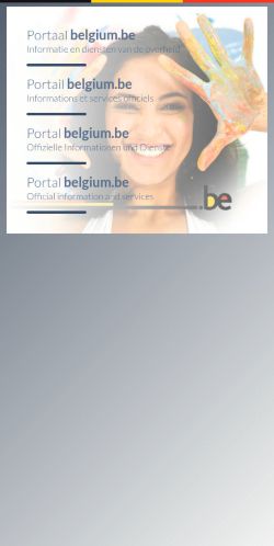 Screenshot of the audited page (Mobile 375×812)