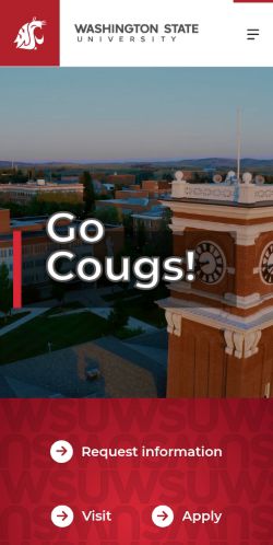 Screenshot of the audited page (Mobile 375×812)