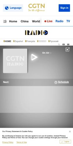 Screenshot of the audited page (Mobile 375×812)