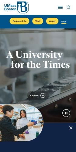 Screenshot of the audited page (Mobile 375×812)