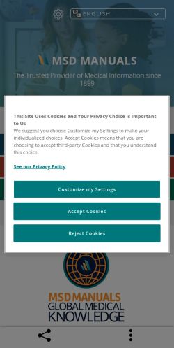 Screenshot of the audited page (Mobile 375×812)
