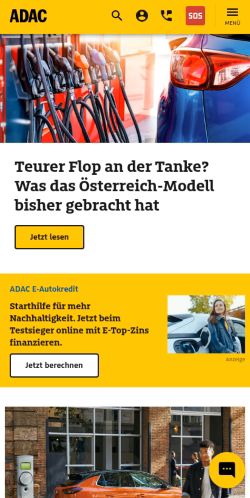 Screenshot of the audited page (Mobile 375×812)