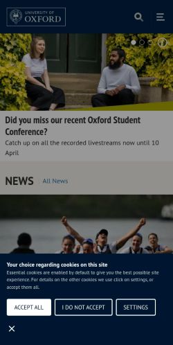 Screenshot of the audited page (Mobile 375×812)