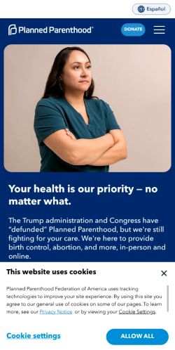 Screenshot of the audited page (Mobile 375×812)