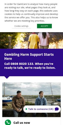 Screenshot of the audited page (Mobile 375×812)