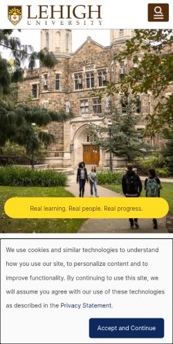 Screenshot of the audited page (Mobile 375×812)