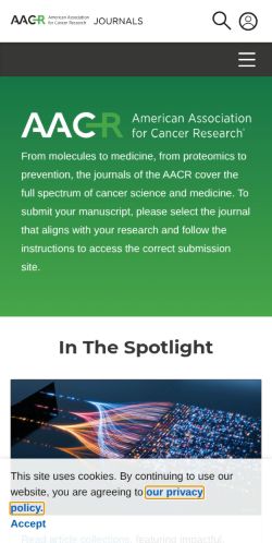 Screenshot of the audited page (Mobile 375×812)