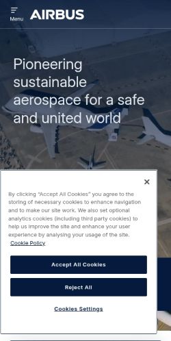 Screenshot of the audited page (Mobile 375×812)