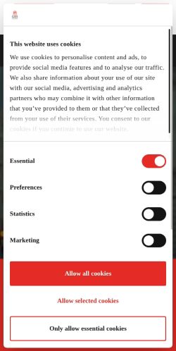 Screenshot of the audited page (Mobile 375×812)