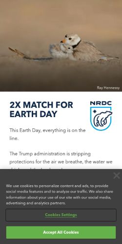 Screenshot of the audited page (Mobile 375×812)