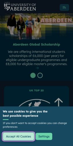Screenshot of the audited page (Mobile 375×812)