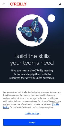 Screenshot of the audited page (Mobile 375×812)