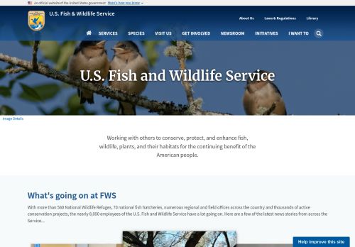 Screenshot of the audited page (Desktop 1440×900)