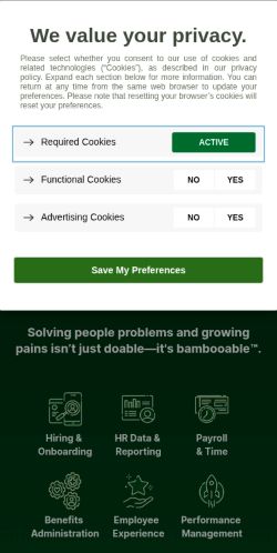 Screenshot of the audited page (Mobile 375×812)
