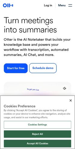 Screenshot of the audited page (Mobile 375×812)