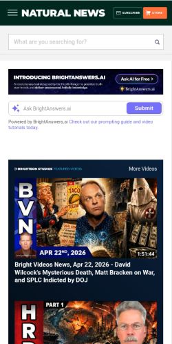 Screenshot of the audited page (Mobile 375×812)