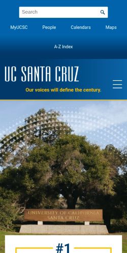 Screenshot of the audited page (Mobile 375×812)