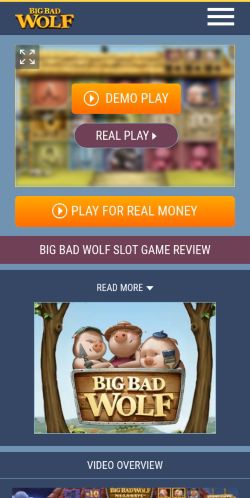 Screenshot of the audited page (Mobile 375×812)