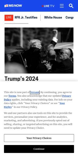 Screenshot of the audited page (Mobile 375×812)