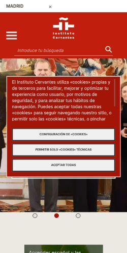 Screenshot of the audited page (Mobile 375×812)