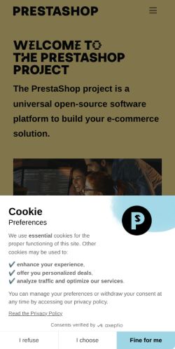 Screenshot of the audited page (Mobile 375×812)