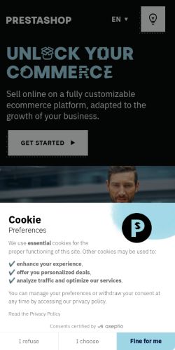 Screenshot of the audited page (Mobile 375×812)