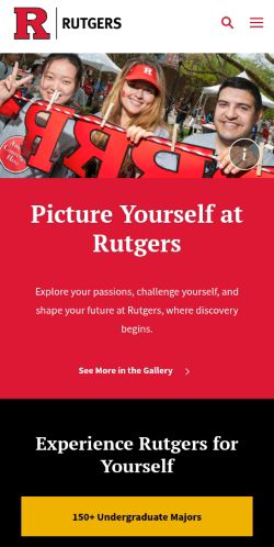 Screenshot of the audited page (Mobile 375×812)