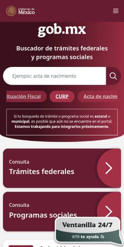 Screenshot of the audited page (Mobile 375×812)