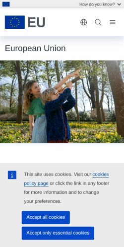 Screenshot of the audited page (Mobile 375×812)