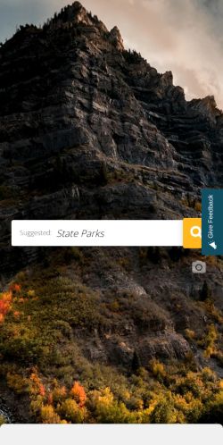 Screenshot of the audited page (Mobile 375×812)