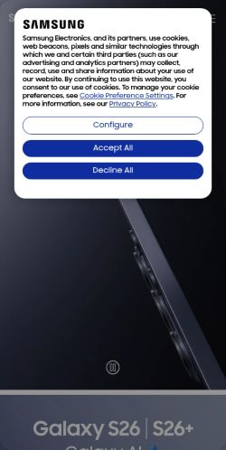 Screenshot of the audited page (Mobile 375×812)