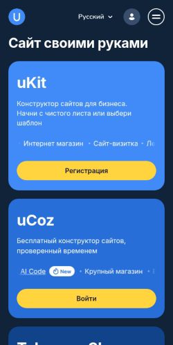 Screenshot of the audited page (Mobile 375×812)