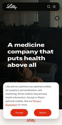 Screenshot of the audited page (Mobile 375×812)