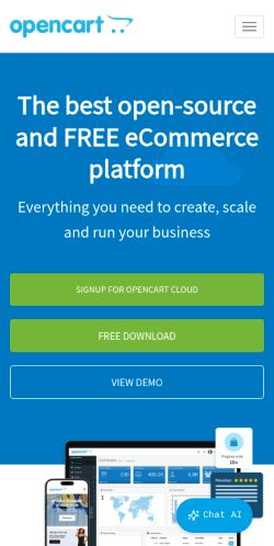 Screenshot of the audited page (Mobile 375×812)