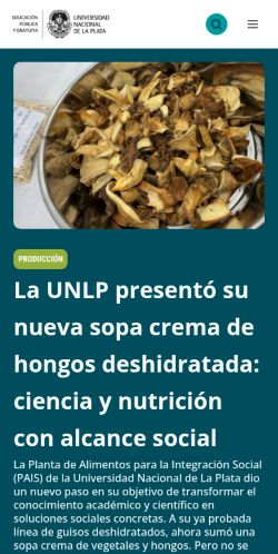 Screenshot of the audited page (Mobile 375×812)