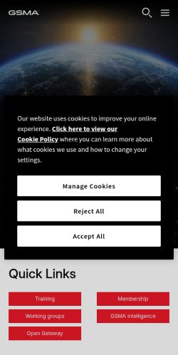 Screenshot of the audited page (Mobile 375×812)