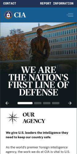 Screenshot of the audited page (Mobile 375×812)