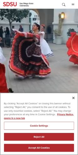 Screenshot of the audited page (Mobile 375×812)