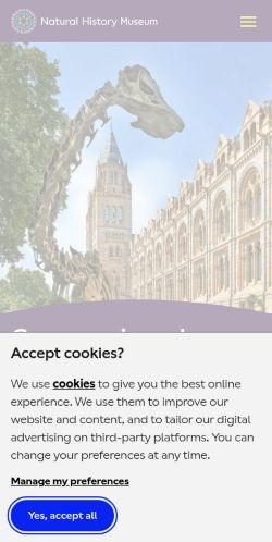 Screenshot of the audited page (Mobile 375×812)