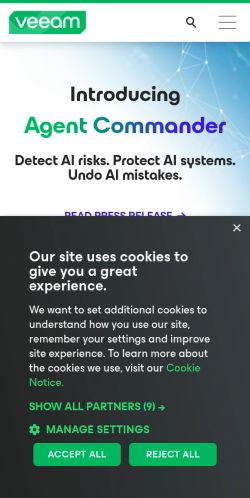 Screenshot of the audited page (Mobile 375×812)