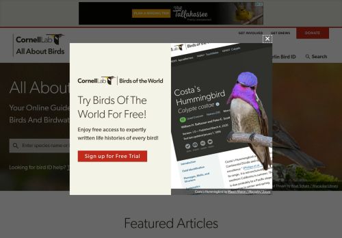 Screenshot of the audited page (Desktop 1440×900)