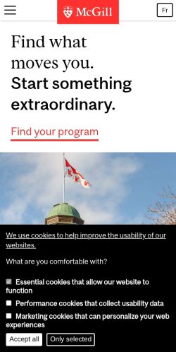 Screenshot of the audited page (Mobile 375×812)