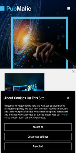 Screenshot of the audited page (Mobile 375×812)