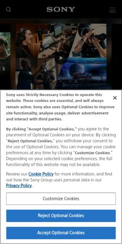 Screenshot of the audited page (Mobile 375×812)