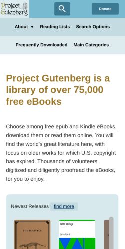 Screenshot of the audited page (Mobile 375×812)