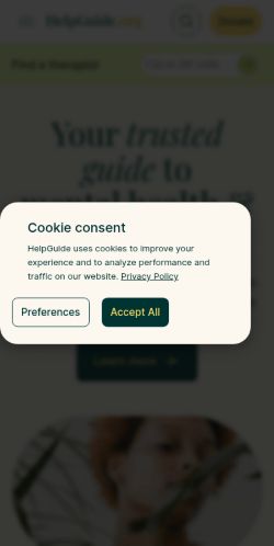 Screenshot of the audited page (Mobile 375×812)
